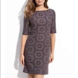 Adrianna Papell grey lace cocktail dress sz 14 NWT